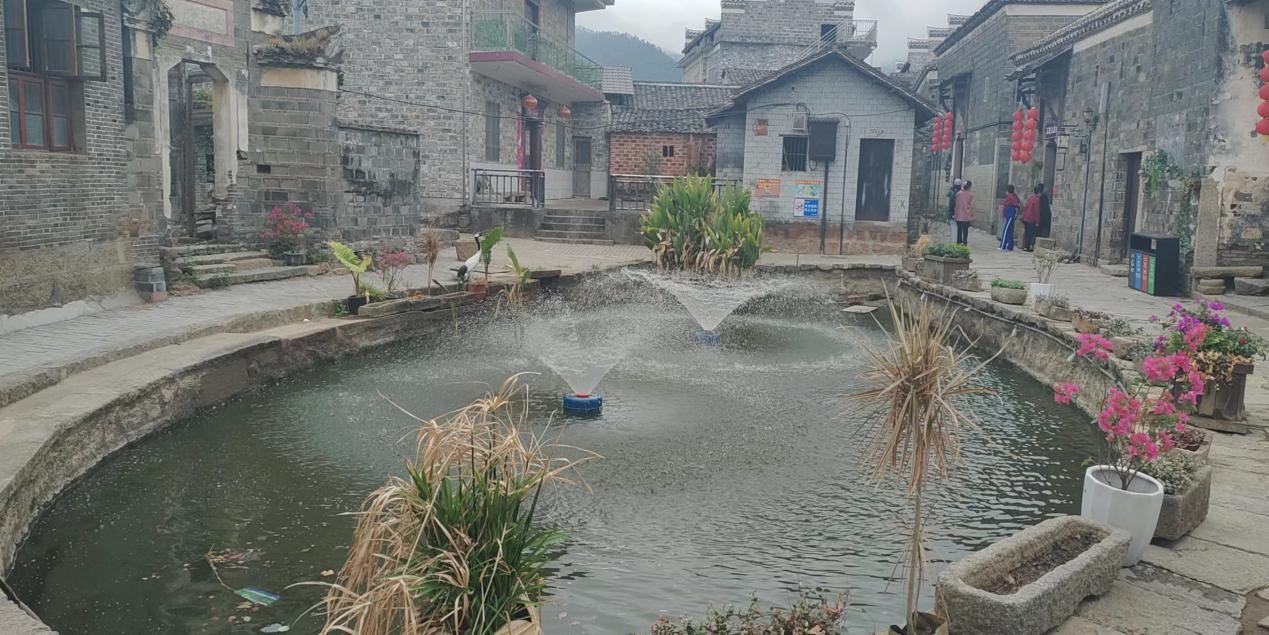 1665321091904398.jpg 3.jpg